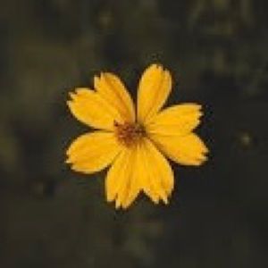 Meet your Posher, Judith